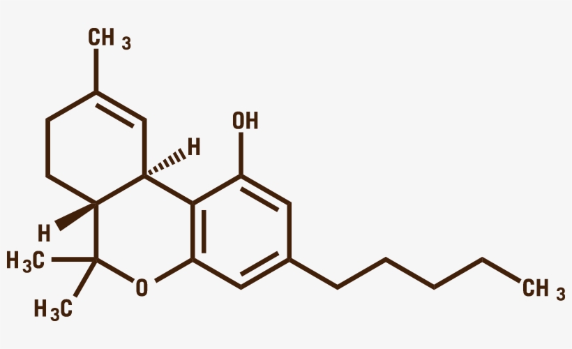 CBD has potential to prevent and inhibit COVID-19 infection